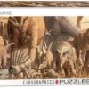 Dinosaurs 1000pc Puzzle -Chessboard Game Store 5887522870250078721 74378